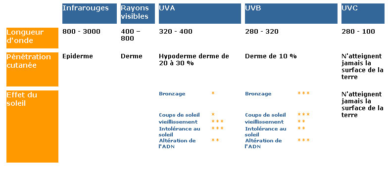 Tableau bilan 2